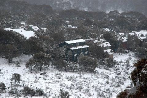 Three Bears 3 - Inverell Accommodation 0