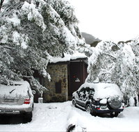 Treehouse - Inverell Accommodation