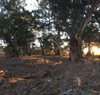 Almerta Station - Inverell Accommodation