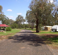Dunedoo Caravan Park - Inverell Accommodation