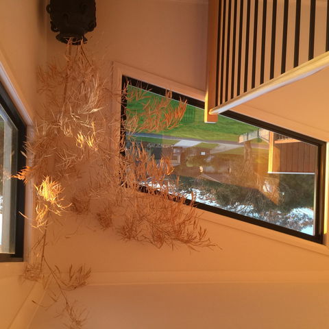 Barefoot Beach Stays - Inverell Accommodation 1
