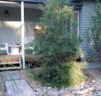 Native B and B - Callala Bay - Inverell Accommodation