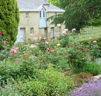 Godolphin Country Accommodation - Inverell Accommodation