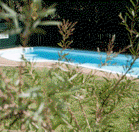 Alluna Motel - Inverell Accommodation