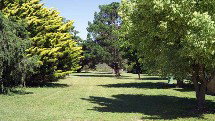 Highlander Van Village - Inverell Accommodation 1