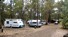 Lake Navarino Holiday Park - Inverell Accommodation 3