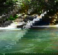 Daintree Secrets Rainforest Sanctuary - Inverell Accommodation