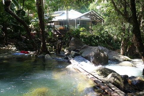 Daintree Secrets Rainforest Sanctuary - Inverell Accommodation 2