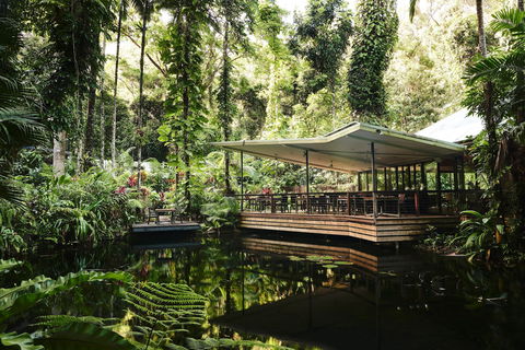 Daintree Ecolodge - Inverell Accommodation 1