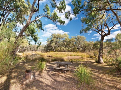 Kings Plains Creek Campground - Inverell Accommodation 0