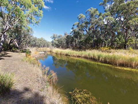 Kings Plains Creek Campground - Inverell Accommodation 1