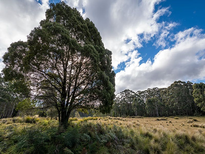 Glen Allen NSW Inverell Accommodation