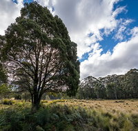 Nunnock campground - Inverell Accommodation