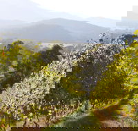 Rosetta's Garden Guesthouse - Inverell Accommodation