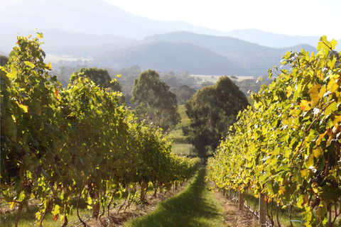 Rosetta's Garden Guesthouse - Inverell Accommodation 0