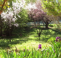 Sofala Cottage - Inverell Accommodation