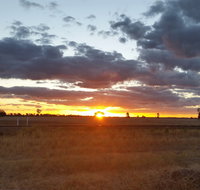Whispering Pines Farm Stay - Inverell Accommodation
