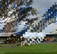 Woodenbong B and B - Inverell Accommodation