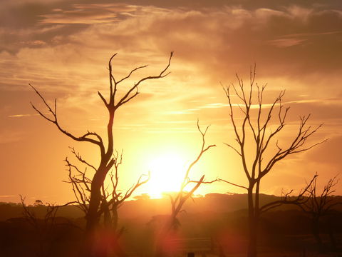 Discovery Lagoon Camping Grounds - Inverell Accommodation 2