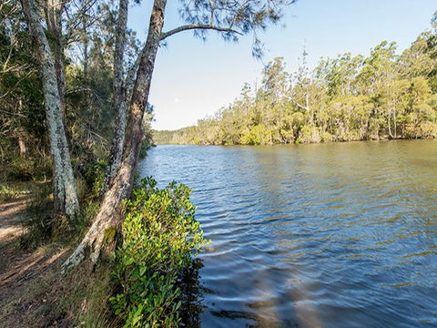 Ferny Creek Campground - Inverell Accommodation 0