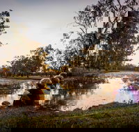 Swagsman Motor Inn - Inverell Accommodation