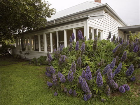 The Lonsdale Palms - Inverell Accommodation 1