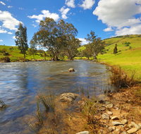 Elm Cottage Tumut - Inverell Accommodation