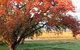 Little Kickabell Country Homestead - thumb 0