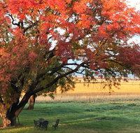 Little Kickabell Country Homestead - Inverell Accommodation