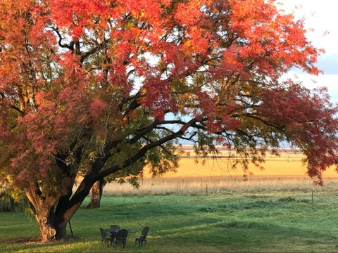 Little Kickabell Country Homestead - Inverell Accommodation 0