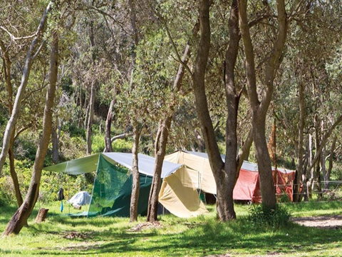 Pebbly Beach Campground - Yuraygir National Park - Inverell Accommodation 1