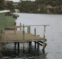 Wrens on Glenelg - Inverell Accommodation
