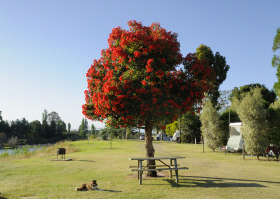 Stratford On The River Tourist Park - Inverell Accommodation 2