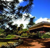 Elliminook - Inverell Accommodation