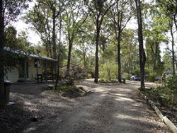 Lakes Bushland Caravan Park - Inverell Accommodation 0