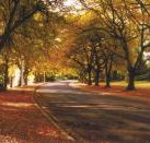 La Trobe at Beechworth - Inverell Accommodation