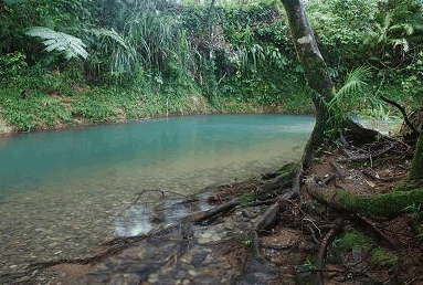 Diwan QLD Inverell Accommodation