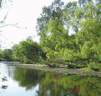Ribbonwood Cottages - Inverell Accommodation