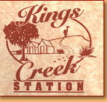 Kings Creek Station - Inverell Accommodation