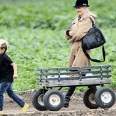 Perth City Farm Organic Markets - Inverell Accommodation