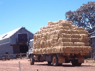 Avondale Discovery Farm - Inverell Accommodation 1