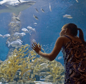 The Aquarium of Western Australia - Inverell Accommodation