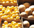 Brisbane Markets - Inverell Accommodation