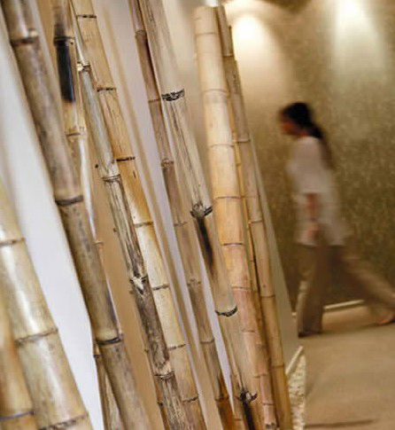 Spa Nirvana - Inverell Accommodation 0