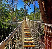 Thunderbird Park - Inverell Accommodation