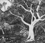 Tacit Contemporary Art - Inverell Accommodation