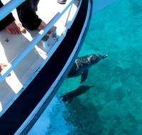 Pelican Charters - Inverell Accommodation