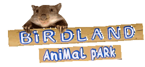 Birdland Animal Park - Inverell Accommodation