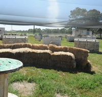 We Are Paintball - Inverell Accommodation