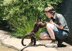 National Zoo & Aquarium - Inverell Accommodation 1
